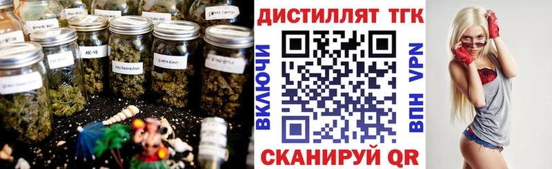 Дистиллят ТГК гашишное масло shop официальный сайт Гатчина