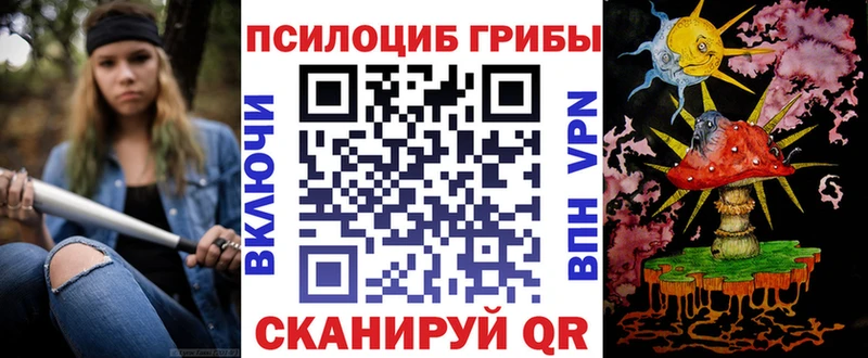 наркотики  blacksprut сайт  Псилоцибиновые грибы Psilocybe  Гатчина 