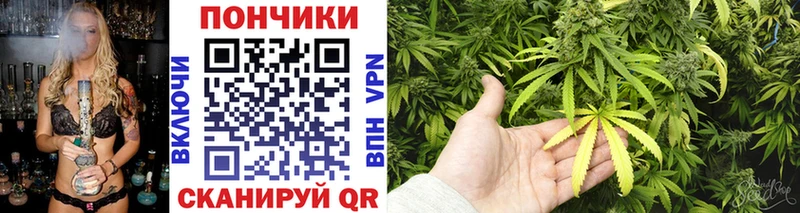 kraken зеркало  продажа наркотиков  Гатчина  Каннабис SATIVA & INDICA 